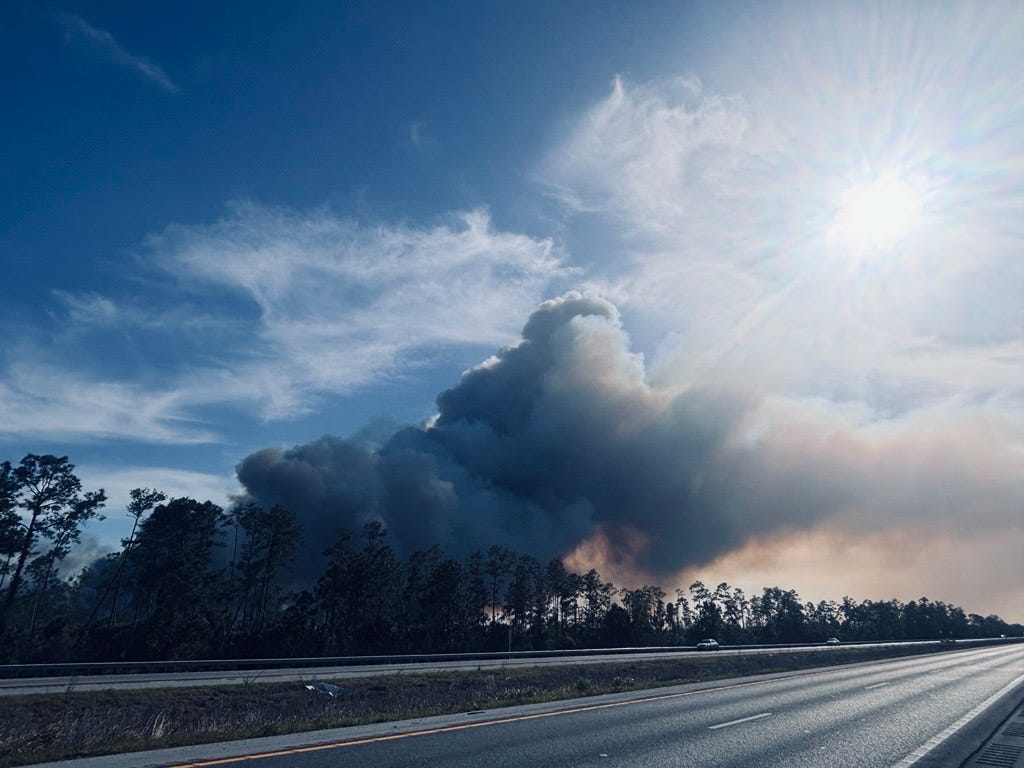 Fire burns hundreds of acres at Picayune Strand State Forest