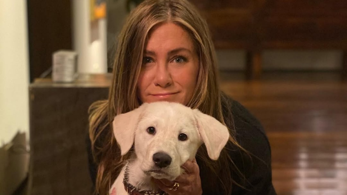 8 Hollywood icons who prefer being single instead of fighting for love