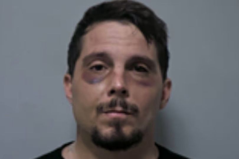 Man arrested after 'stomping' 2-week-old husky puppy to death in street ...