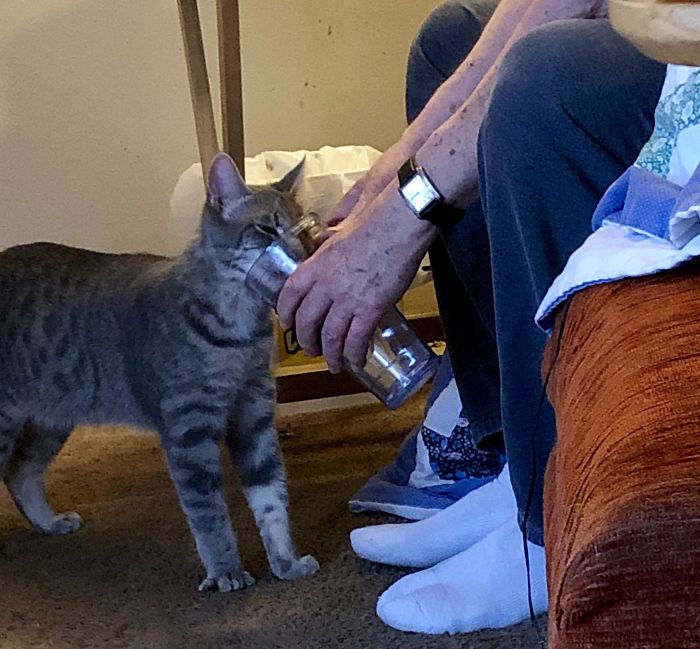 30 Adorable Photos Of Cat Dads And Their Furry Friends