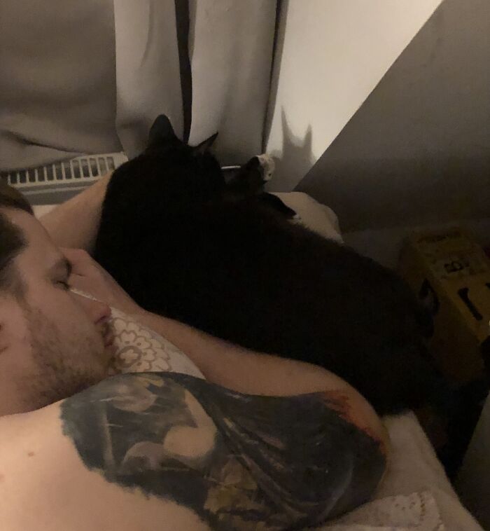 30 Adorable Photos Of Cat Dads And Their Furry Friends