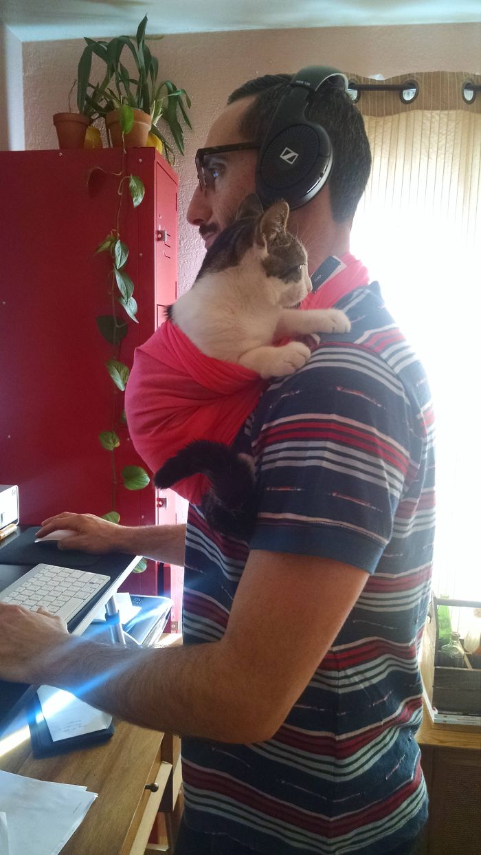 30 Adorable Photos Of Cat Dads And Their Furry Friends