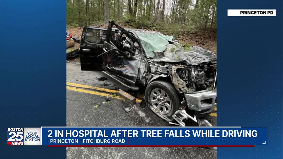 2 hospitalized after tree falls on pickup truck traveling on road in ...