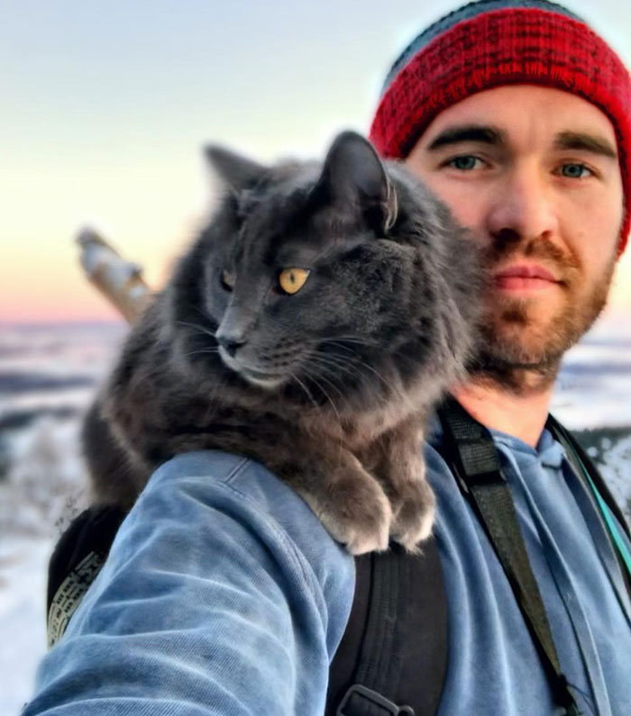 30 Adorable Photos Of Cat Dads And Their Furry Friends