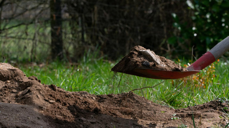 The frameless garden bed alternative that helps you save on resources