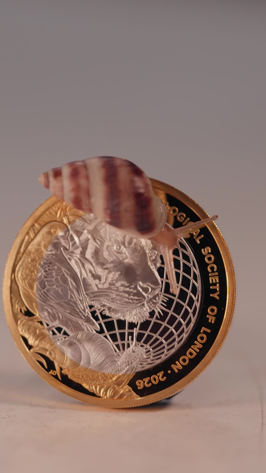 Royal Mint unveils £2 coin to celebrate ZSL’s 200th anniversary