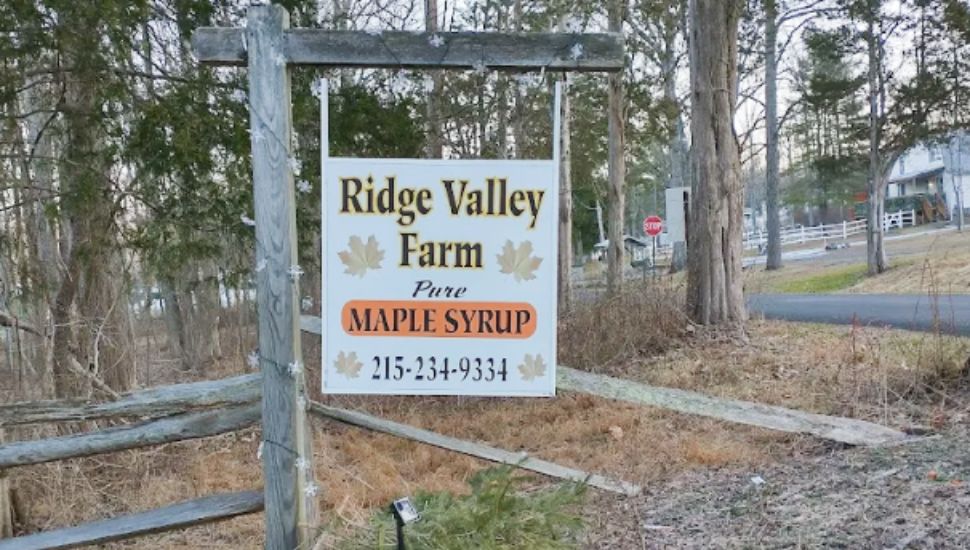 Ridge Valley Farm in Sumneytown transforms maple sugaring hobby into ...