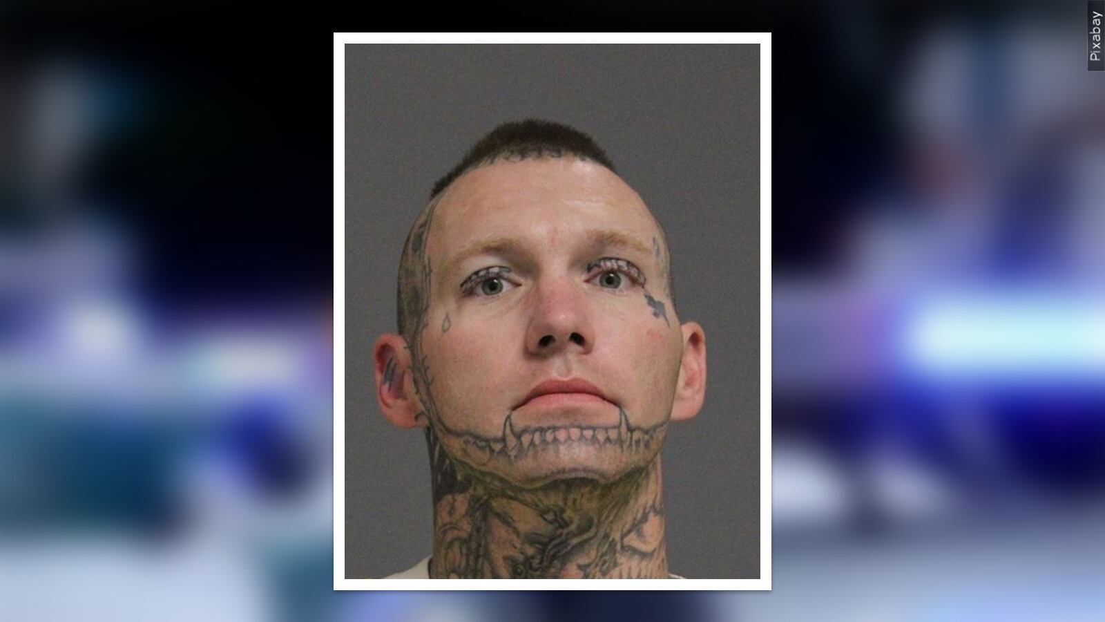 Grand Junction driver arrested after fleeing from police