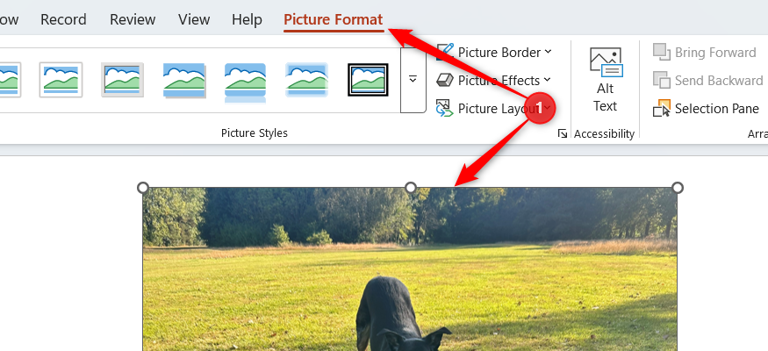How to edit photos like a pro in PowerPoint