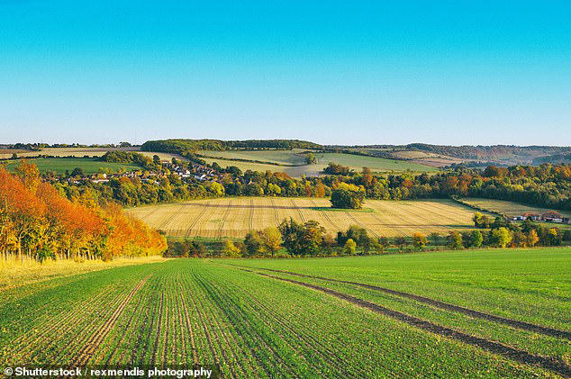 The charming village only 30 minutes from London that's been dubbed the ...