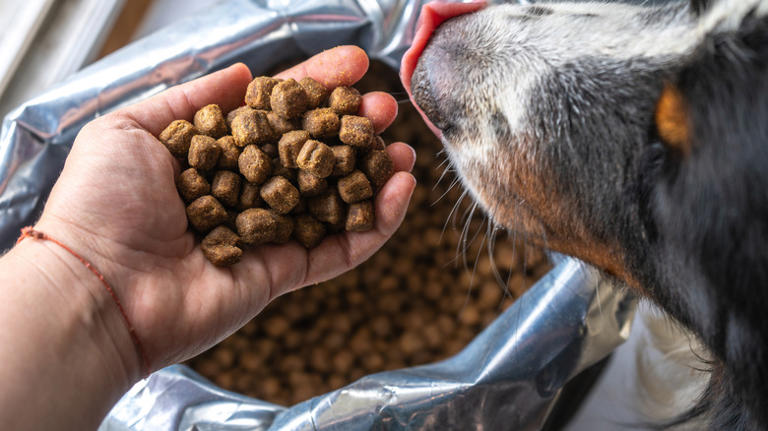 How to transform your empty pet food bags into garden grow bags