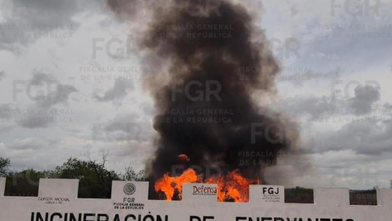 Golpe al narcotráfico: destruyen cerca de una tonelada de droga en Reynosa