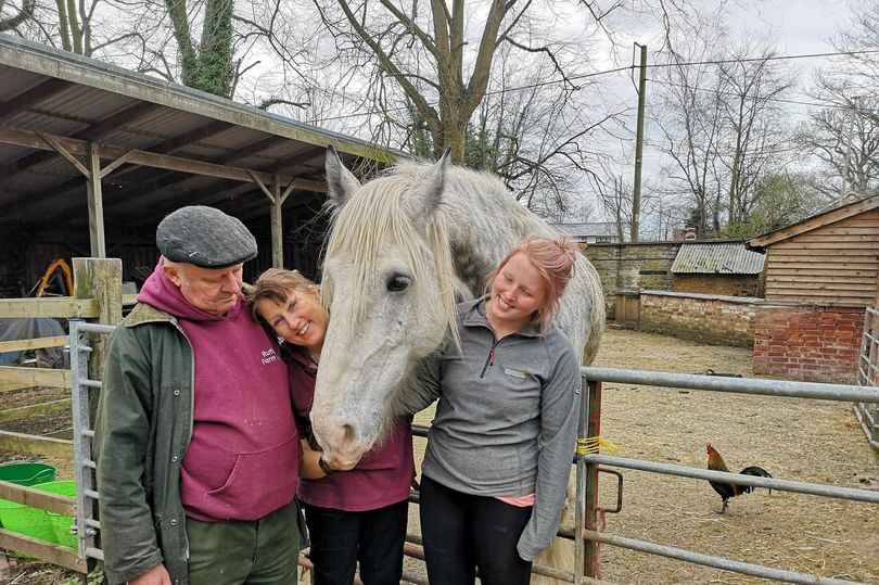 'End of an era' as Rutland farm park closes after a decade of serving ...