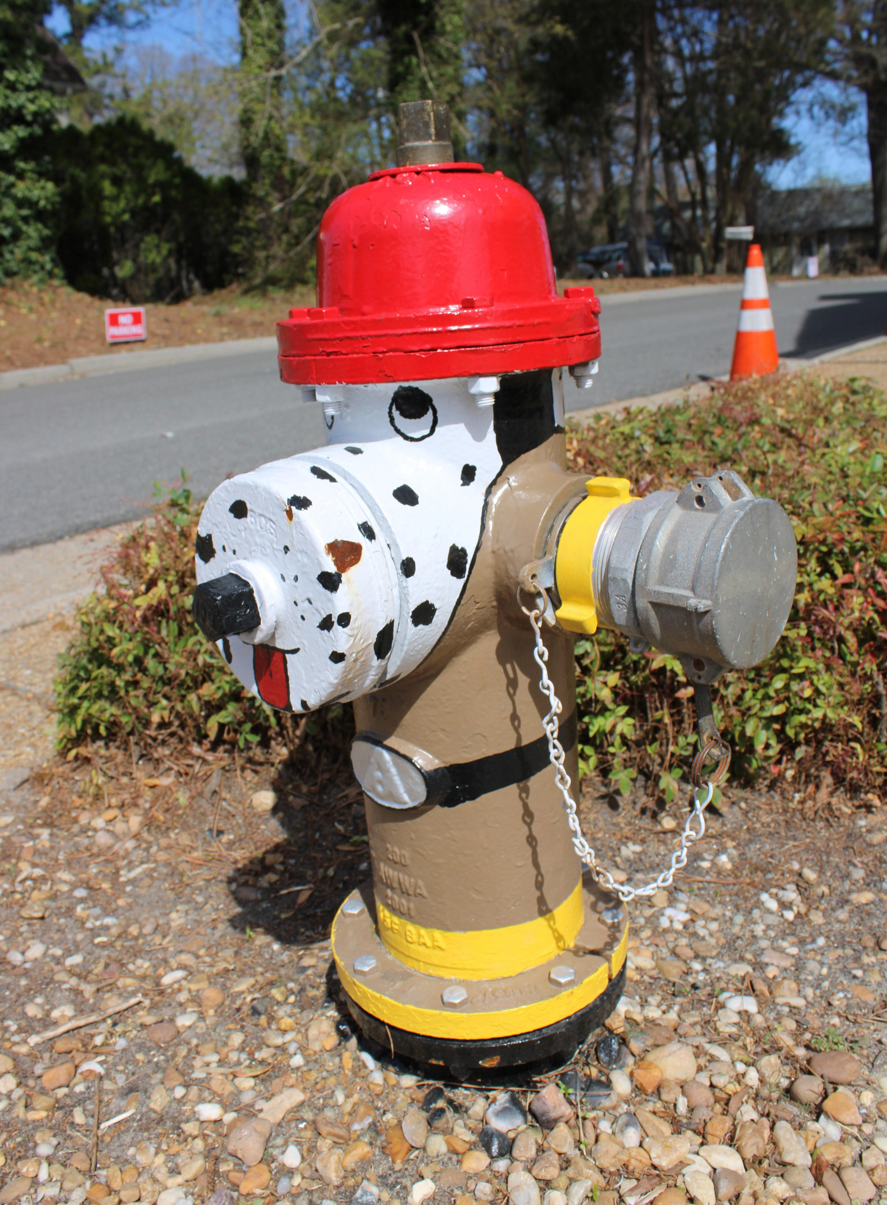 Follow these tips before and after hydrants are flushed in Hopewell