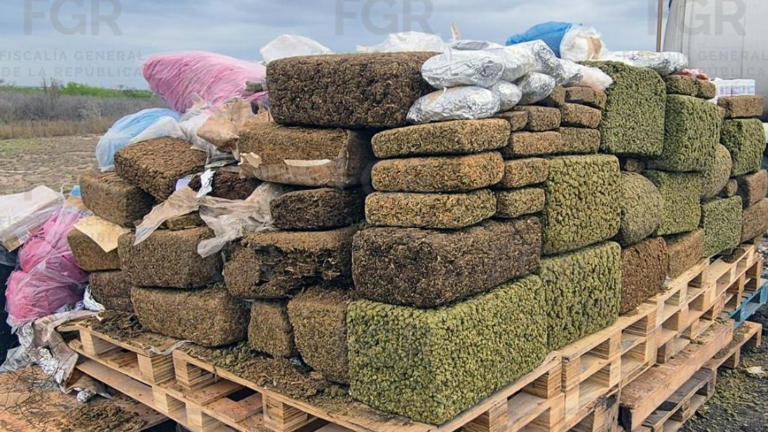 Golpe al narcotráfico: destruyen cerca de una tonelada de droga en Reynosa