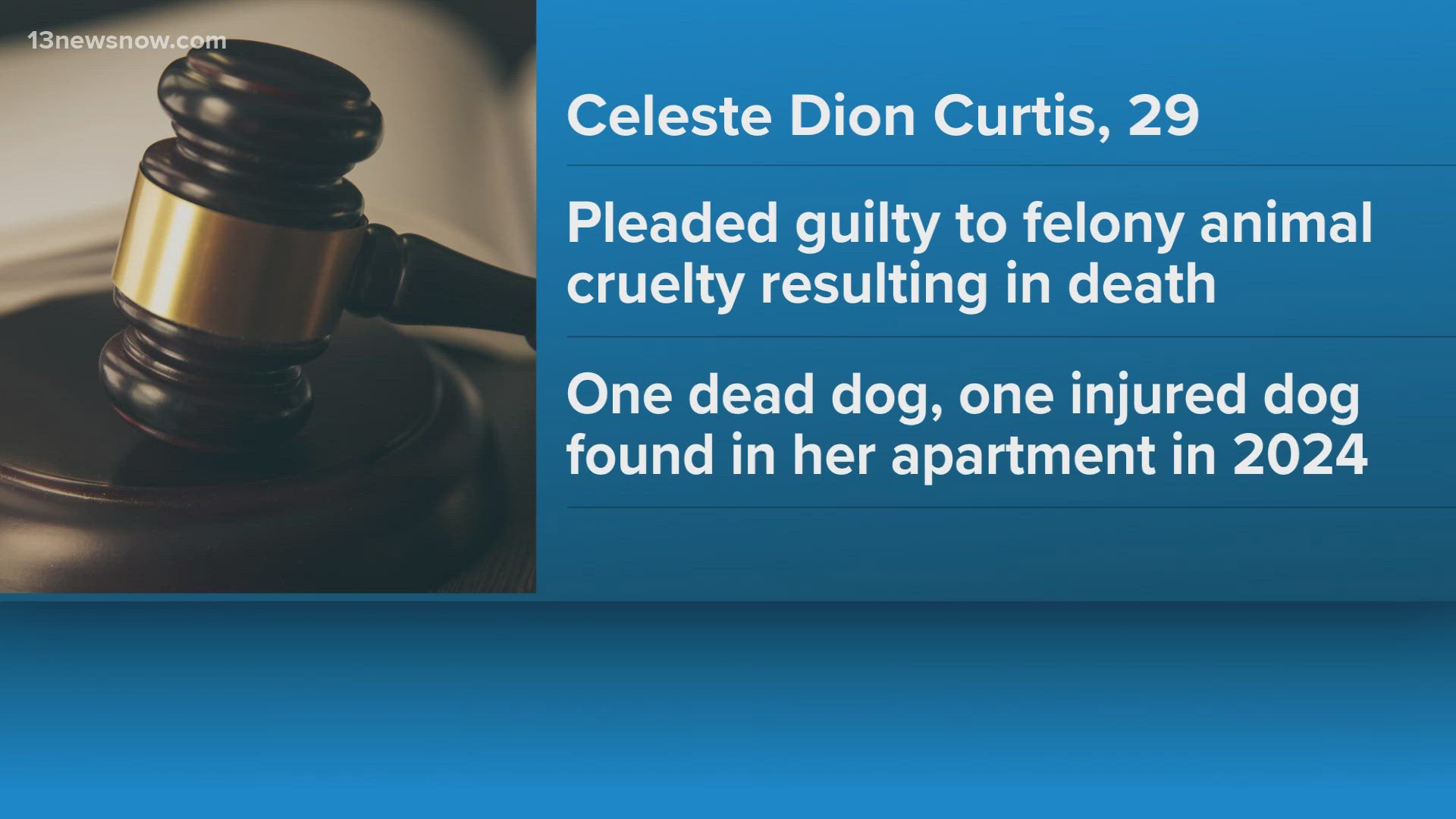 Norfolk woman pleads guilty to felony animal cruelty after dogs found ...