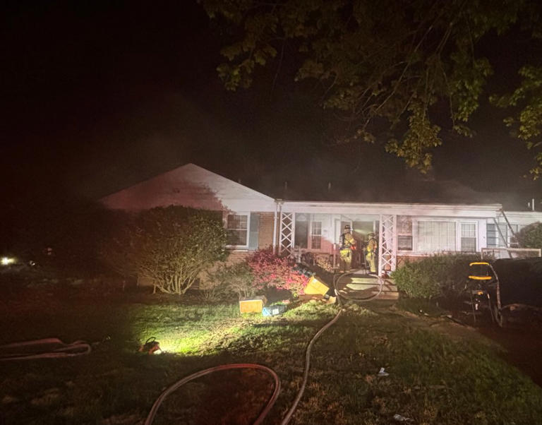Person hospitalized, 2 dogs found dead after fire in Fairfax County