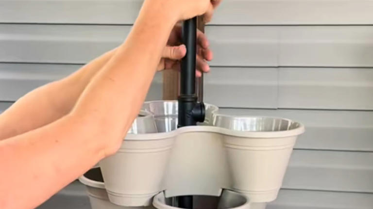 Turn Dollar Tree finds into a rotating vertical herb garden for tiny spaces