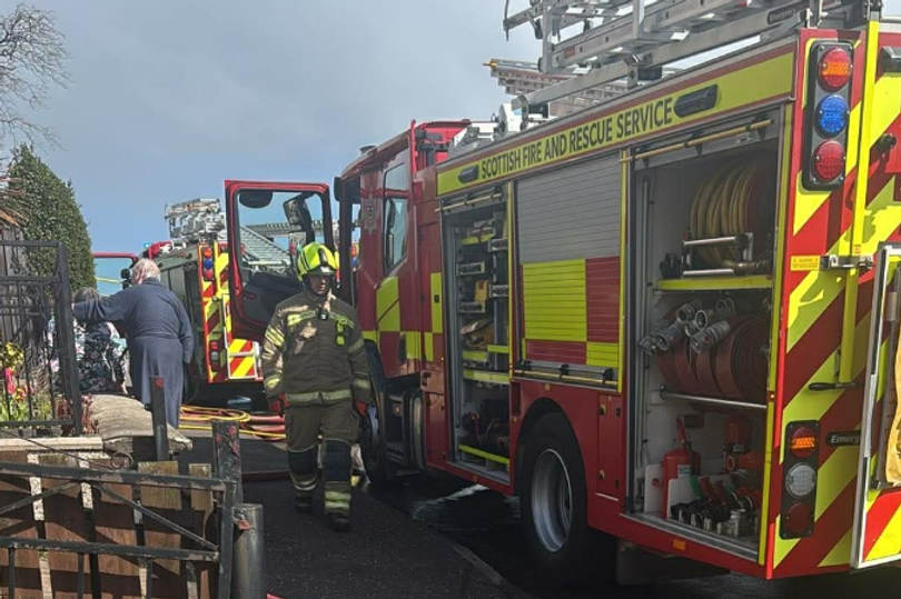 Five dogs killed in devastating house fire as 'exotic pets rescued ...