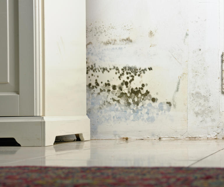 Experts reveal the 8 hidden dangers of window condensation (and what ...