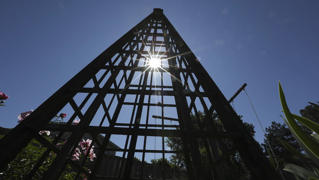 Dollar Tree hack turns $1.50 planters into rotating vertical gardens