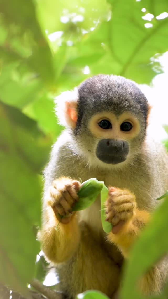 Why Peru is the hidden gateway to the Amazon rainforest