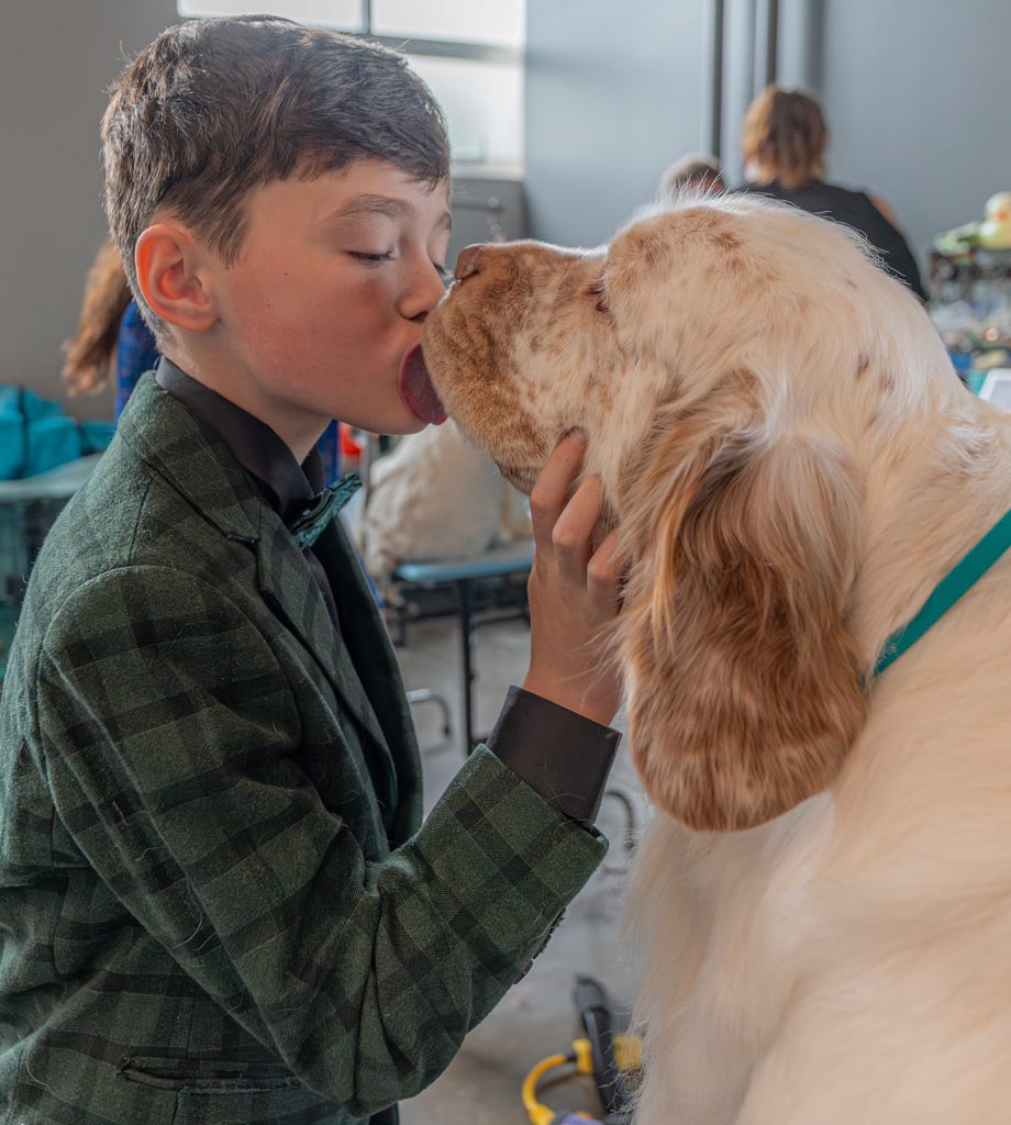 Clumber Spaniels take over Central WI for national championship event