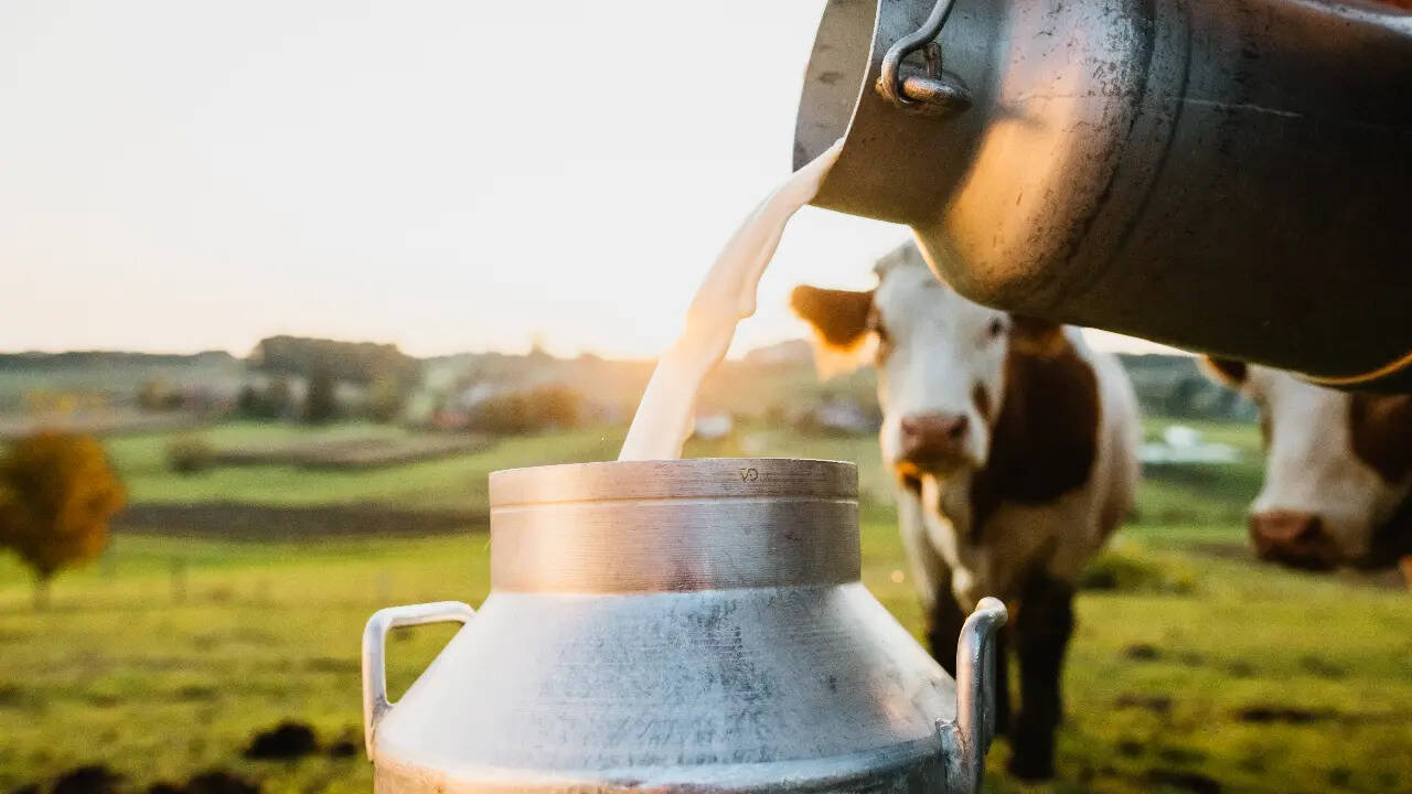 This is India's leading milk-producing state: FSSAI's general standards ...
