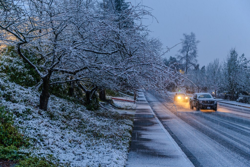 Winter storm warning as 20 inches of snow to hit — consider delaying travel