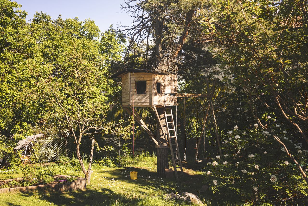 treehouse in backyard