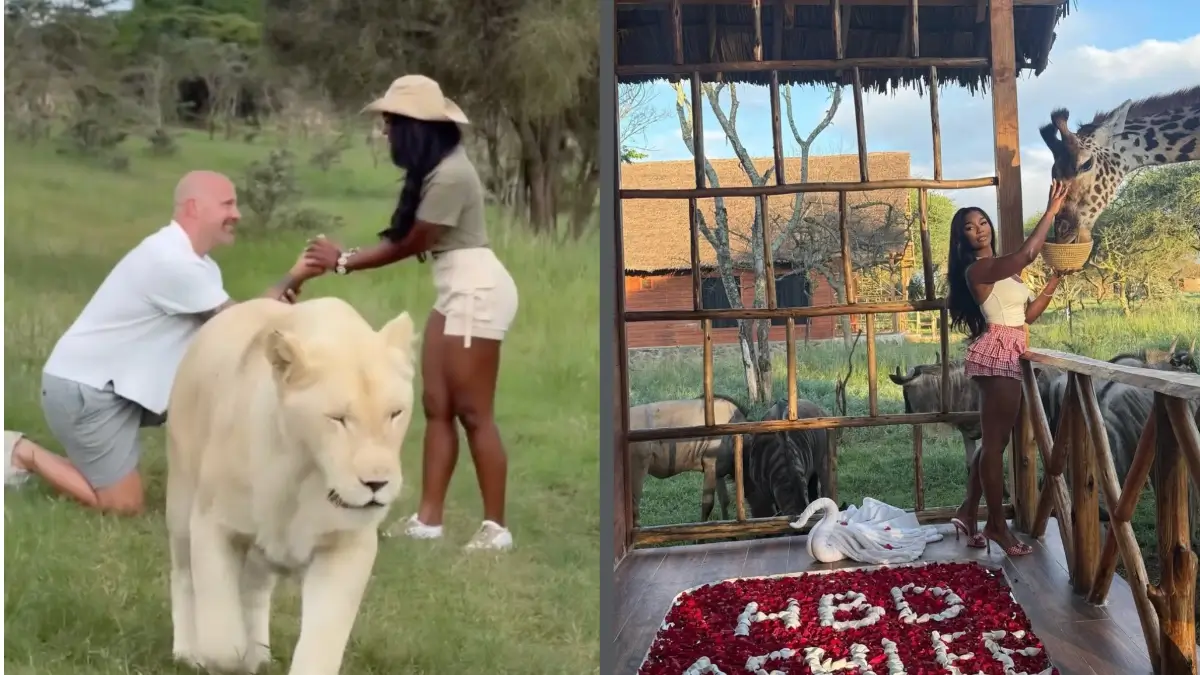 'We need answers now!': Influencer and fiancé reportedly argued before ...