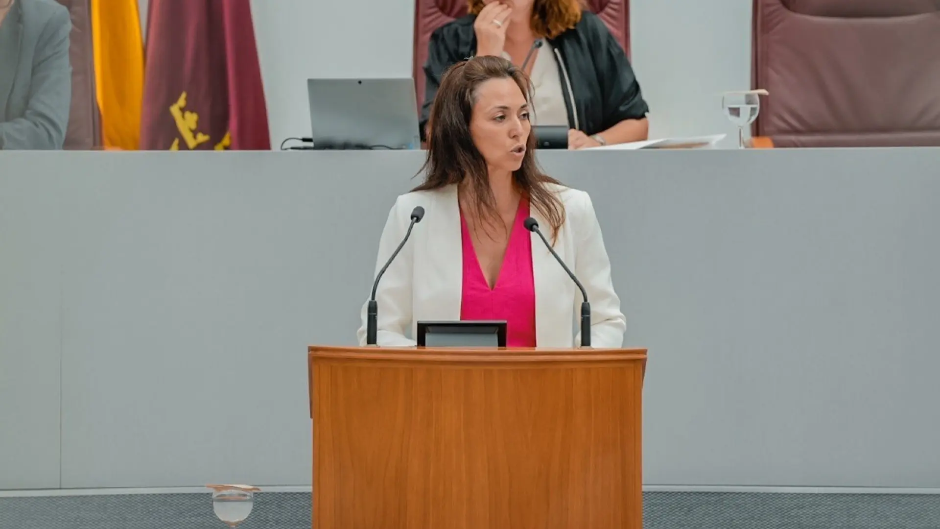 Crisis de Vox en Murcia: otra diputada pasa al grupo mixto y el partido ...