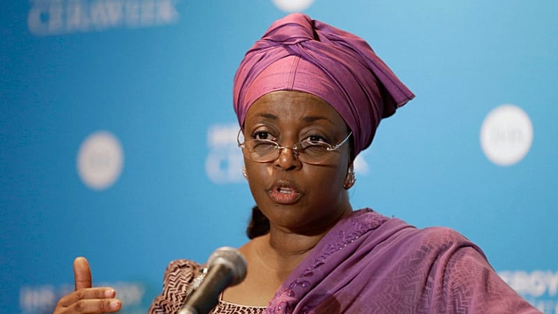 L'ancienne ministre des Ressources pétrolières, Diezani Alison-Madueke, répond à une question après un discours prononcé lors de la IHS CERAWeek, à Houston, le 4 mars 2014.