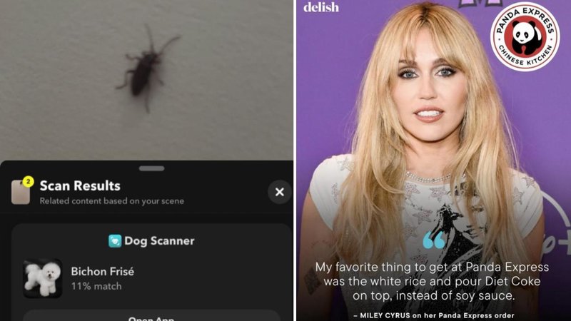 25 bizarre memes found in the corners of the web