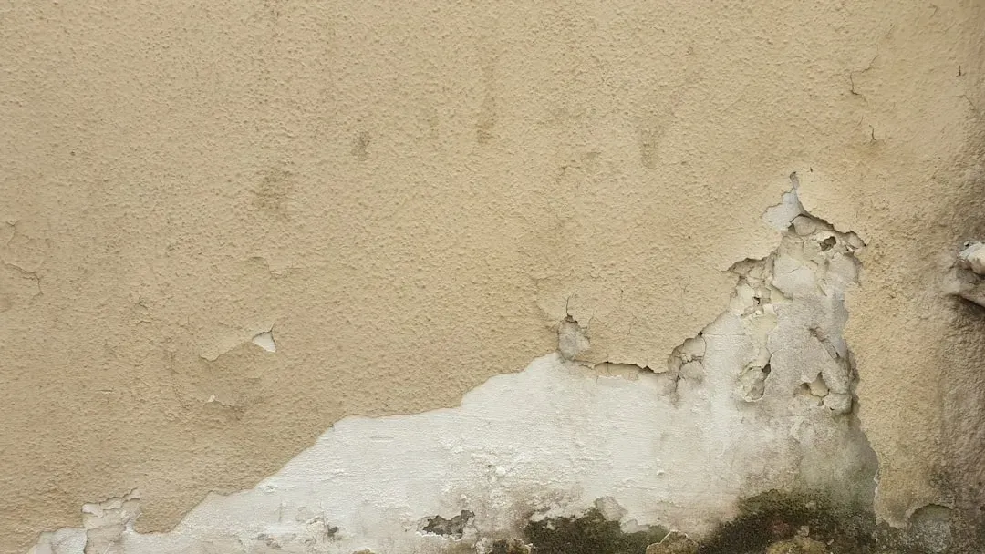 5 indoor conditions that can encourage mold growth
