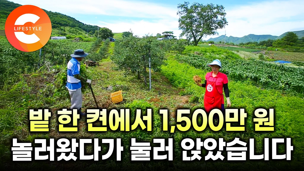 여기서만 1,500만 원어치 캤어요 휴가 왔다가 1년 뒤 덜컥 이사온 산골마을. 알고 보니 돈 잘 벌리는 동네였다ㅣ#한국기행