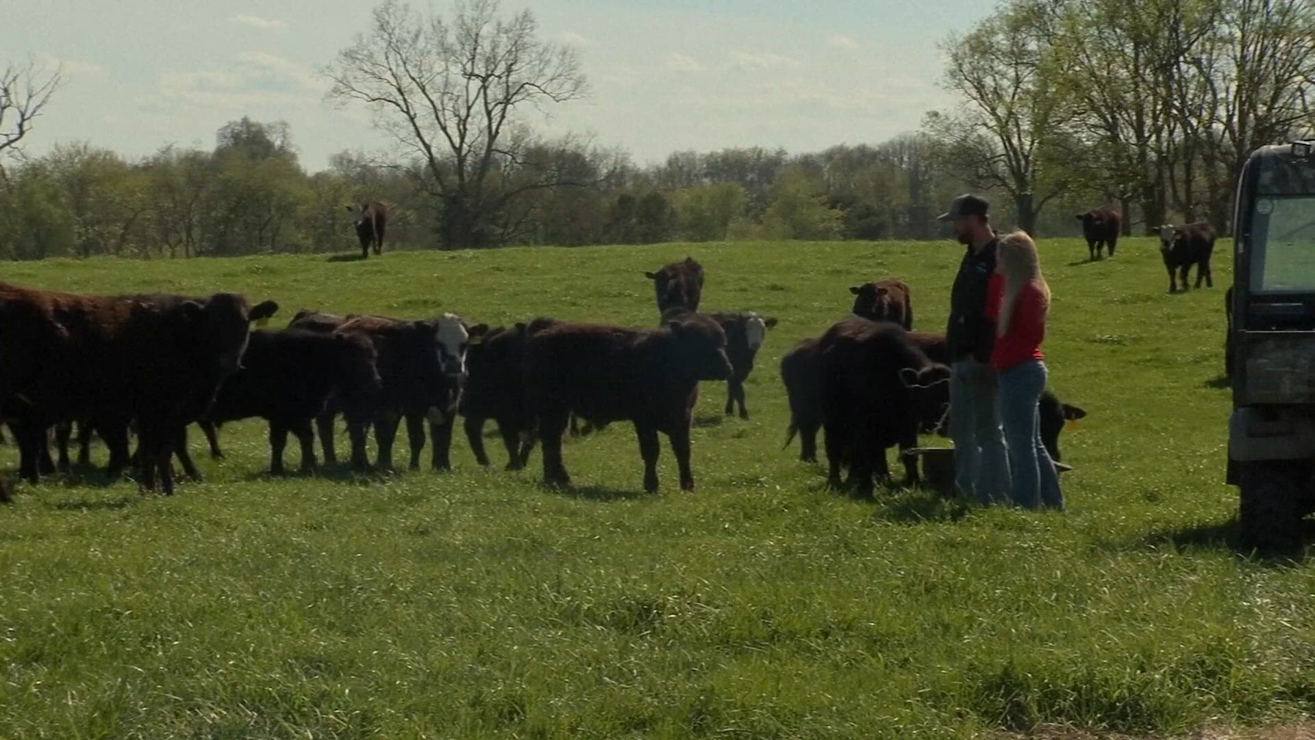 Price of beef rising across the country