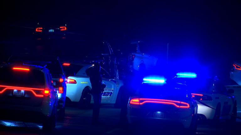 Man fatally shot by Knox County Sheriff’s Office deputy during traffic ...