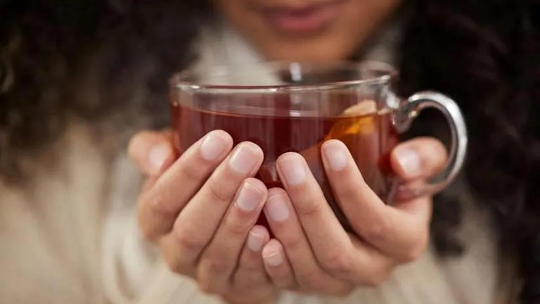 Tea for thought: Rooibos and the science of focus in a distracted world