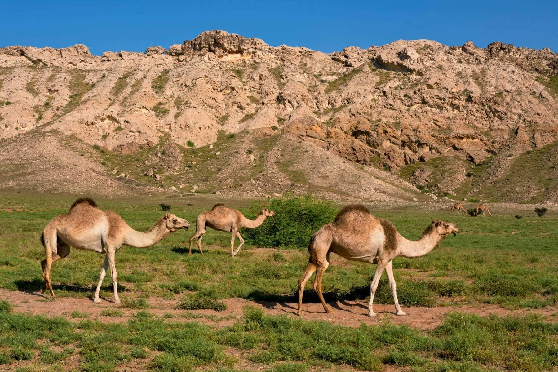 7 must-visit national parks, UNESCO World Heritage Sites and ...