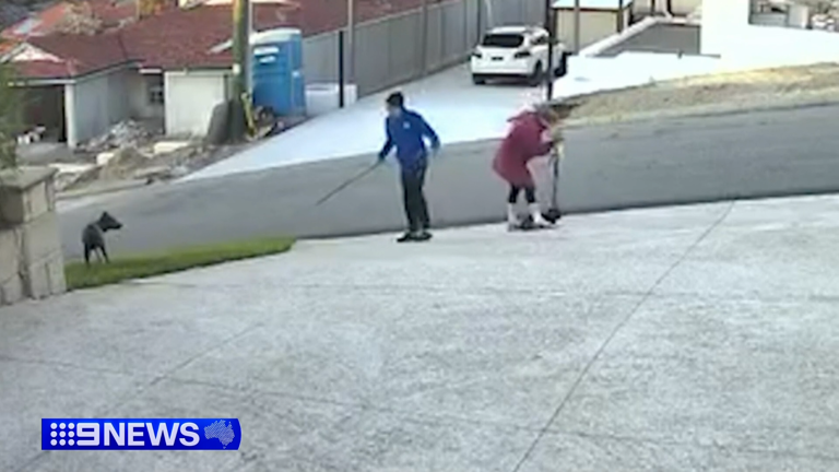 The traumatised owner suffered serious arm injures in the attack, while her beloved dog couldn't be saved.