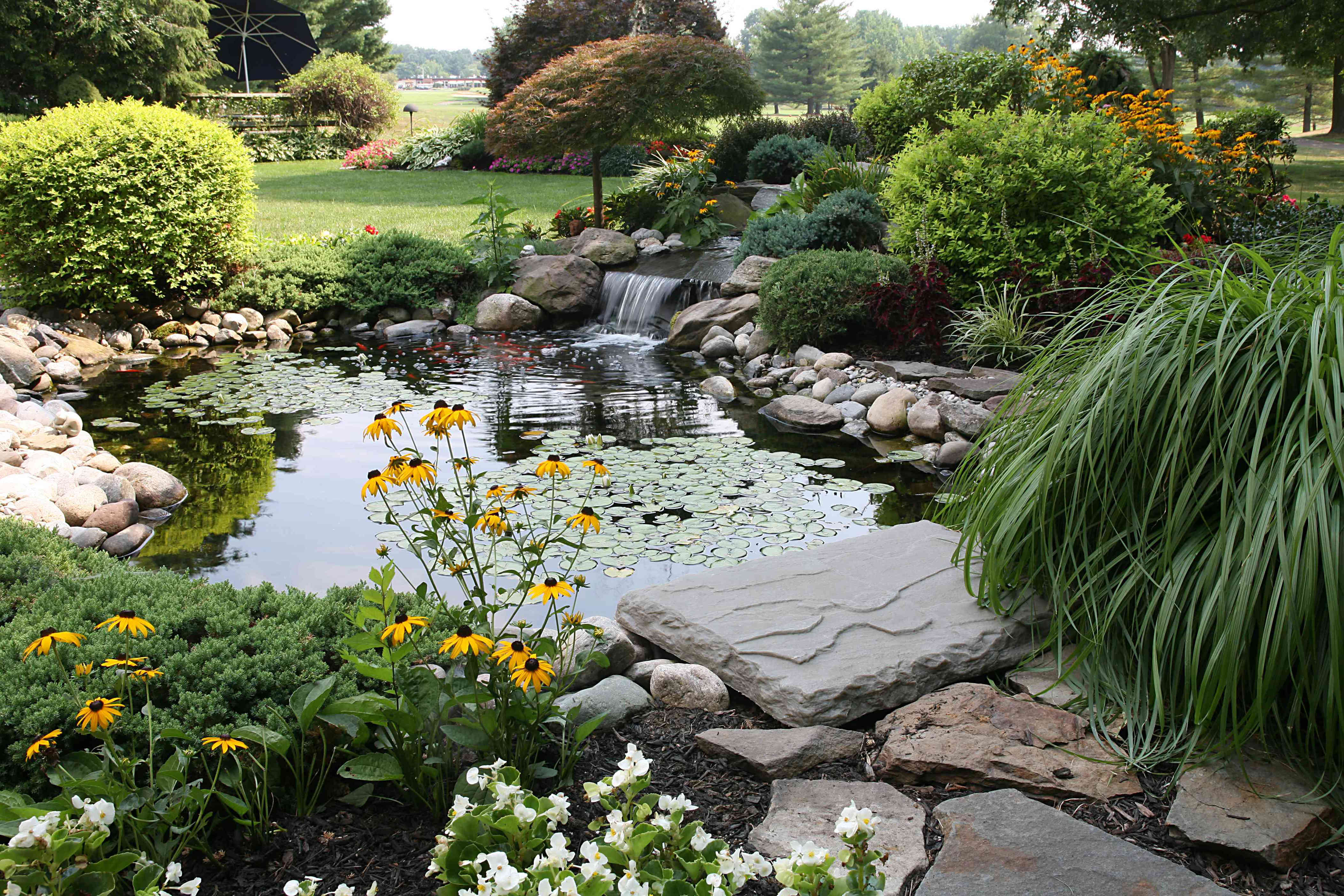 Landscaping pros say these 5 landscaping features are almost never worth the splurge