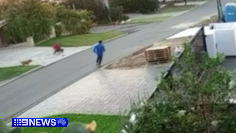 A neighbour rushed over to help and broke up the dogs using a stick.