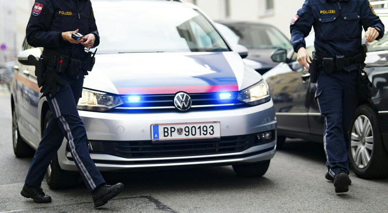 Polizei nimmt in Linz und Linz-Land zehn Kennzeichen sowie drei Führerscheine ab