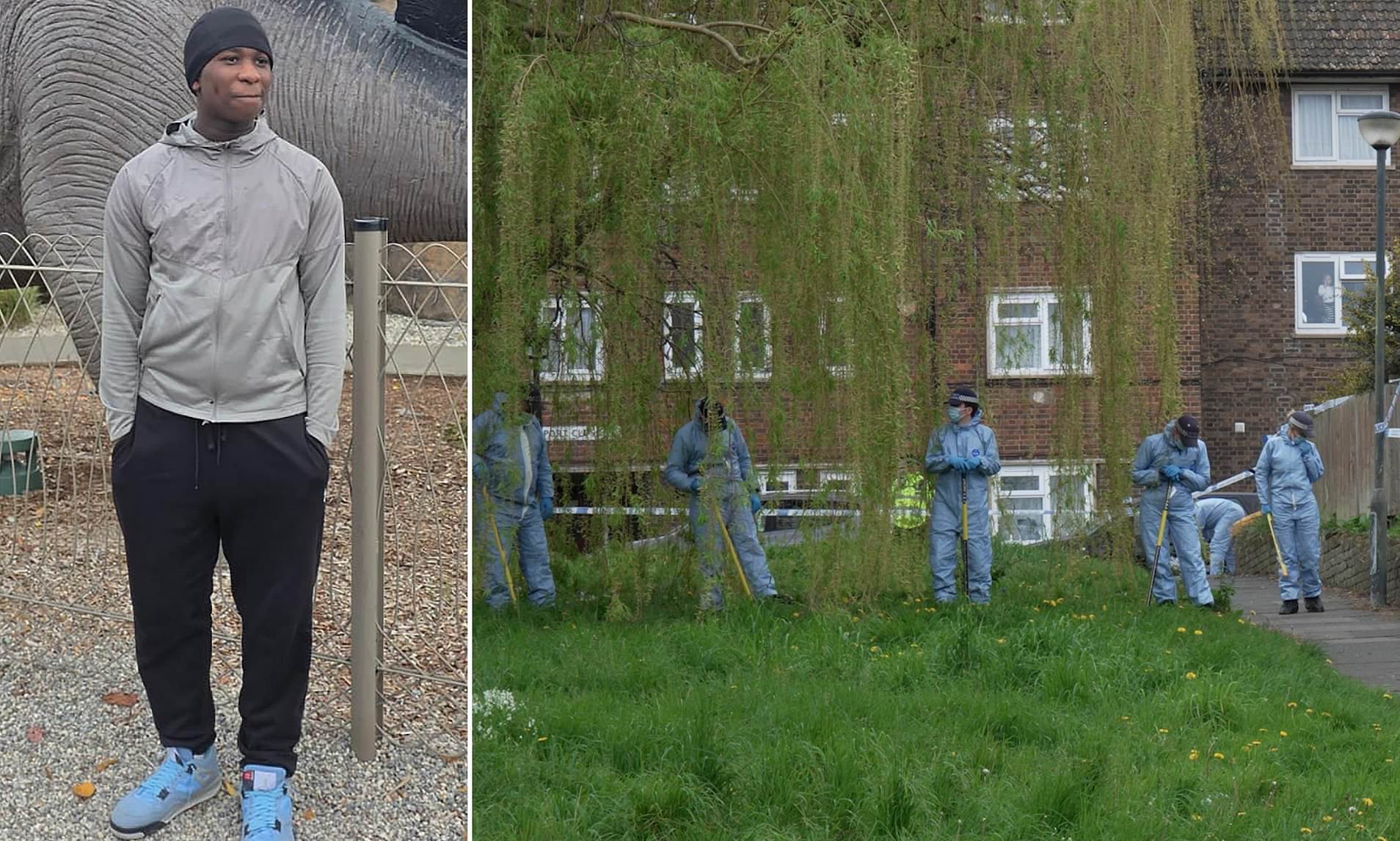 Teenager, 16, appears in court charged with murdering 14-year-old boy ...