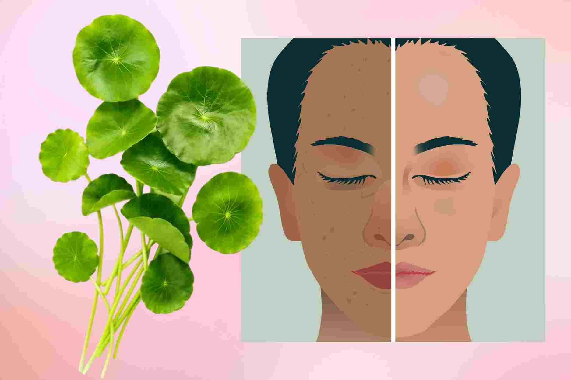Lưu ý để làm đẹp an toàn với rau má