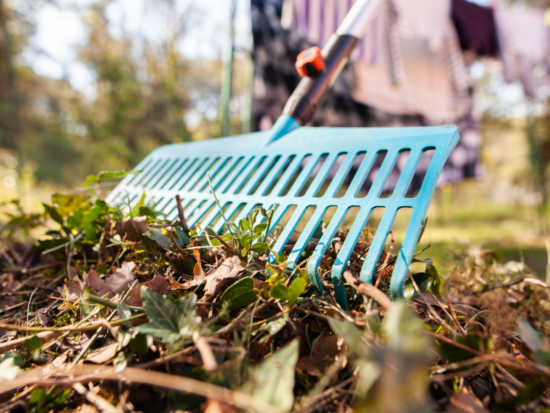 Outdoor spring cleaning guide: Complete checklist for a fresh yard