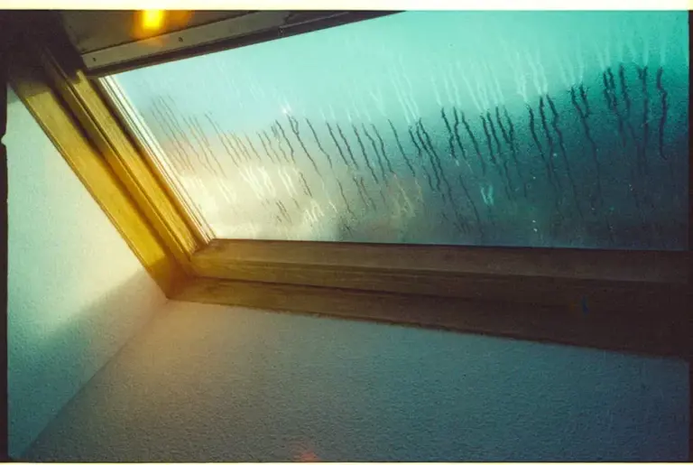 5 indoor conditions that can encourage mold growth