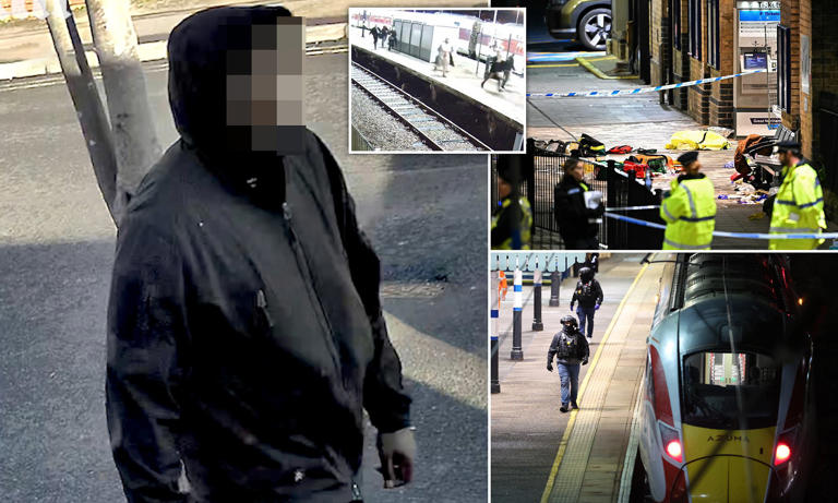 Man accused of 13 counts of attempted murder including 11 on two trains ...