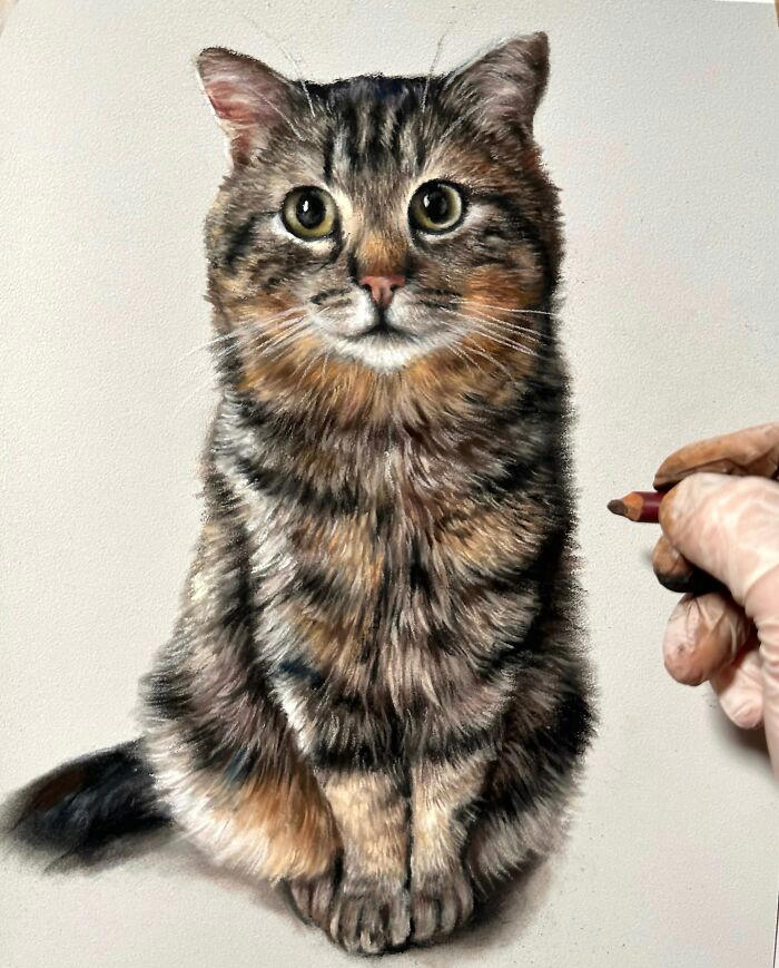 Hyperrealistic pencil drawings: 40 animal portraits